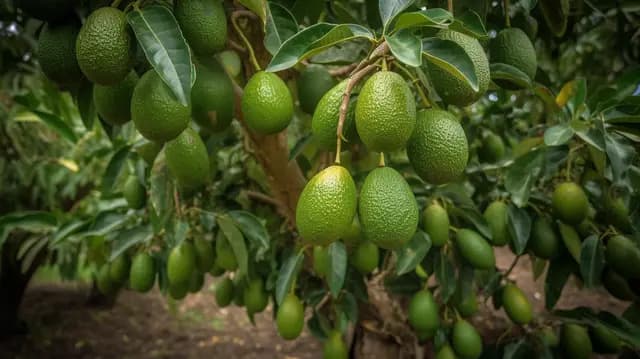 A Conscious, flourishing world